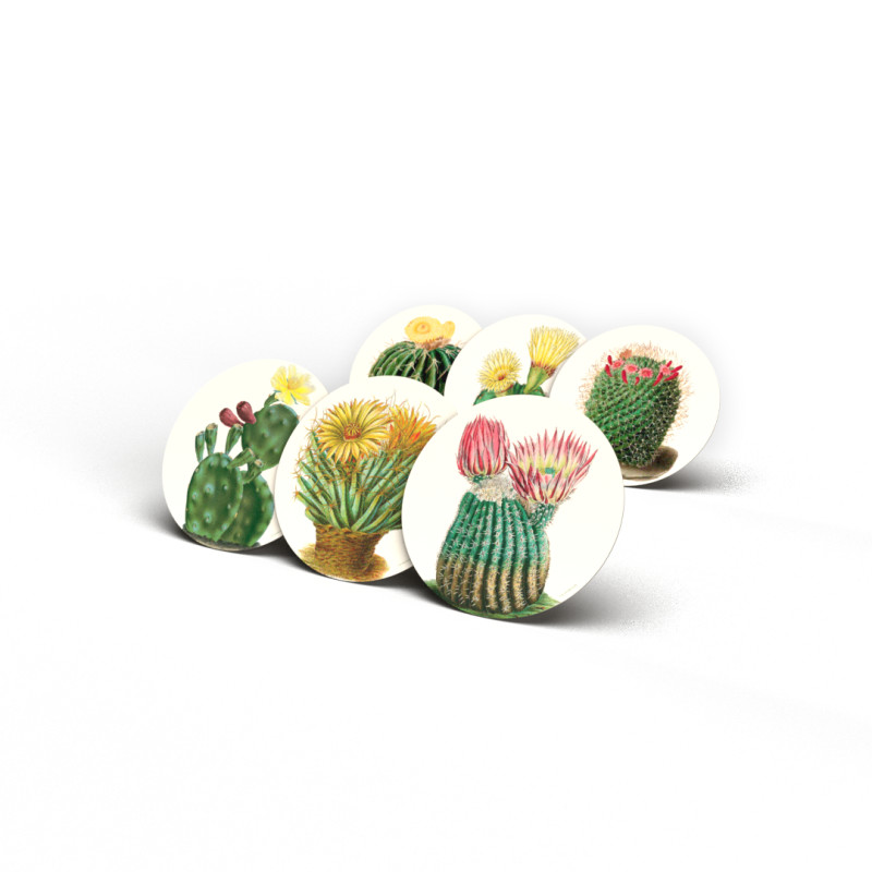 Due set completi Sottobicchieri Cayman Cactus