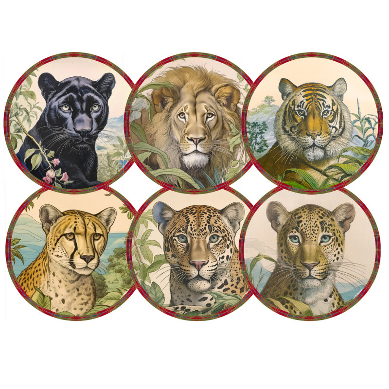 Collezione completa “Felini Jungla” – 6 Sottopiatti